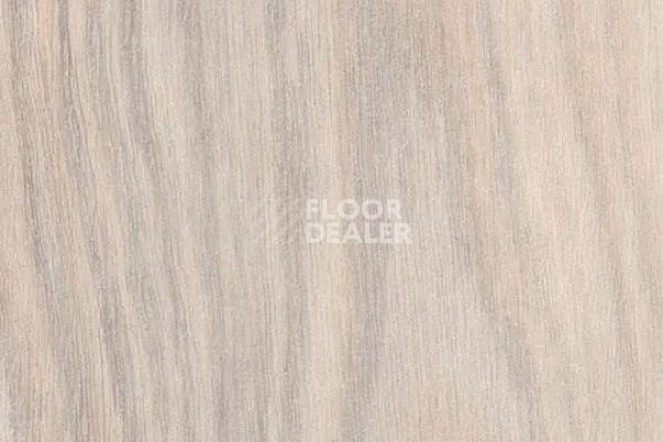 Виниловая плитка ПВХ FORBO Effekta Intense 40215 P Creme Rustic Oak INT фото 1 | FLOORDEALER